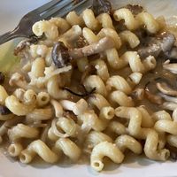 Mushroom and Cavatappi  at Fitz on 4th in Philadelphia
