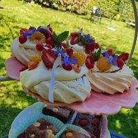 Voorste is vegan at Timboektoe Theetuin in Coevorden