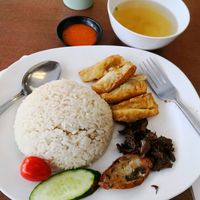 Today special G饭 Sgd 4.00 at Vegetarian Villas 素雅轩 in West Singapore