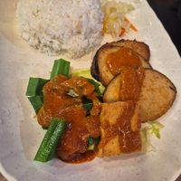 Sambal fish rice at Vegetarian Villas 素雅轩 in West Singapore