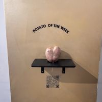   at FÆNCY FRIES in Prague