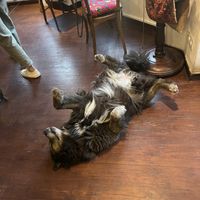   at Mitara Cafe & Art in Istanbul