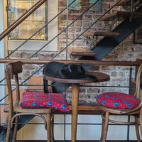  at Mitara Cafe & Art in Istanbul