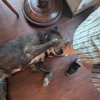  at Mitara Cafe & Art in Istanbul