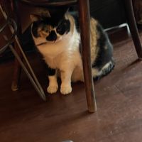   at Mitara Cafe & Art in Istanbul