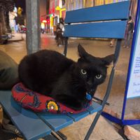   at Mitara Cafe & Art in Istanbul