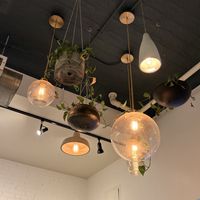   at Bird & Branch in New York City