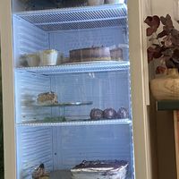 Everything is vegan without exception   at Bojtorina Vegan Kitchen in Sopron