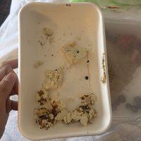   at Snooze in Nashville