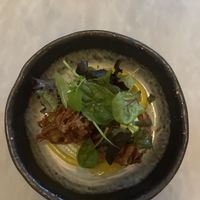 Fennel fritters - perhaps a tad too greasy but great portion  at Tendril in London