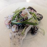  at Tendril in London