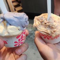  at Madonna Vegan in Barcelona