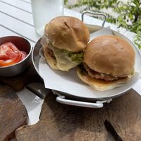 Sliders !   at Wat Bong in Siem Reap
