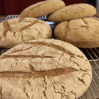 .  at Solatz by Sáez in Mallorca