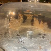   at Viola Bakery in Siracusa