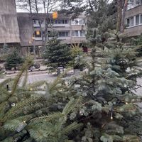  at Restoranas „grás“ in Palanga