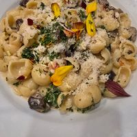 Spicy Alfredo at Lilla in Portland