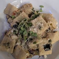 Spicy Alfredo with Artichoke Cream at Lilla in Portland