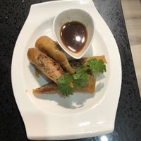 Spring rolls  at Viet Family - The Vegan House in Vancouver