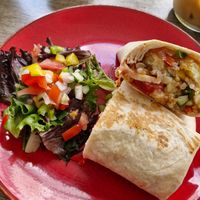  at The Fat Frog Cafe in Liskeard