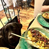   at Yes It Is Vegan II - Liszt Ferenc Tér in Budapest