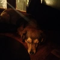  at Yes It Is Vegan II - Liszt Ferenc Tér in Budapest