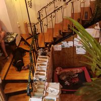 Interior viewed from upper floor at Yes It Is Vegan II - Liszt Ferenc Tér in Budapest