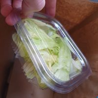 Why? at Yes It Is Vegan II - Liszt Ferenc Tér in Budapest