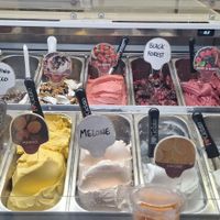 Überall,  wo ein schwarzer Löffel steckt  -  vegan 😎 at Gelateria Paniko in Lucca