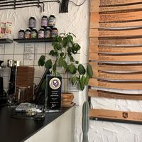   at Coffee Syndicate in Sofia