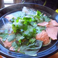 Pho at Sipz Fusion Cafe - North Park in San Diego