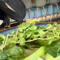 Truffle Dumplings  at Folke in Vancouver