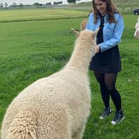 Dieren op de boerderij!  at Vakantieboerderij Huize Nuis in Noordbeemster