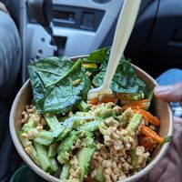 The vegan Thai bowl.. a little lacking at Tropical Blends in Belleville