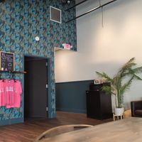 Interior at BARE Blends in Latham