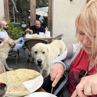   at Cafe Laila in Mestia