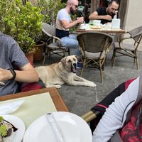   at Cafe Laila in Mestia