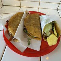   at Tacongo in Tijuana