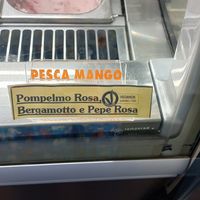 Gusti vegani base acqua at Pagni Gelati in Follonica