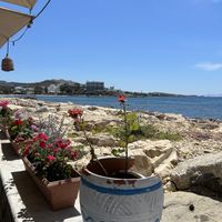   at Alexandros Cafe in Paros