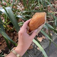   at Tart Bakery - Auckland Uni Quad in Auckland