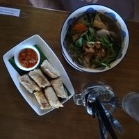 Pho and springrolls at Ken Vegetarian and Coffee in Hoi An