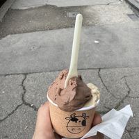   at Gelateria Moou in Turin