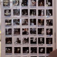   at Bar Kaja in Stockholm