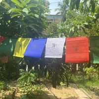   at Chickpea Eatery Thuan Chay in Hoi An