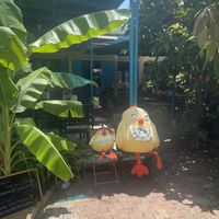   at Chickpea Eatery Thuan Chay in Hoi An