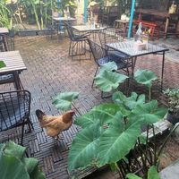  at Chickpea Eatery Thuan Chay in Hoi An