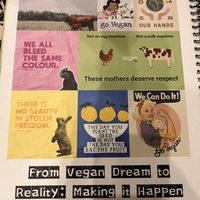   at Chickpea Eatery Thuan Chay in Hoi An