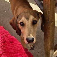  at Filía Laundry Shop & More in Zaharo