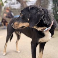   at Filía Laundry Shop & More in Zaharo